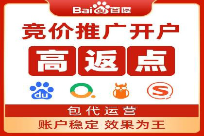 百度推广平台：从零到一的营销策略案例